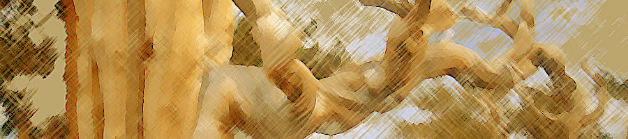 quandi si è veccgi? 1